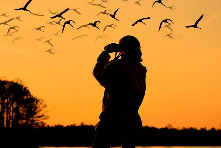 Observar aves de forma respetuosa
