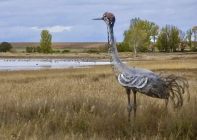 Estatua de Grulla en Gallocanta