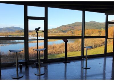 Views of the marshland from the Urdaibai Bird Center