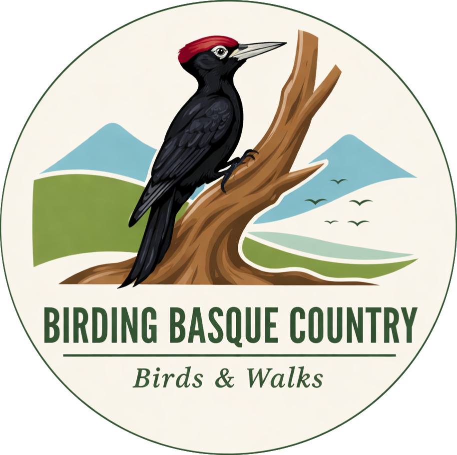 'Birding Basque Country'